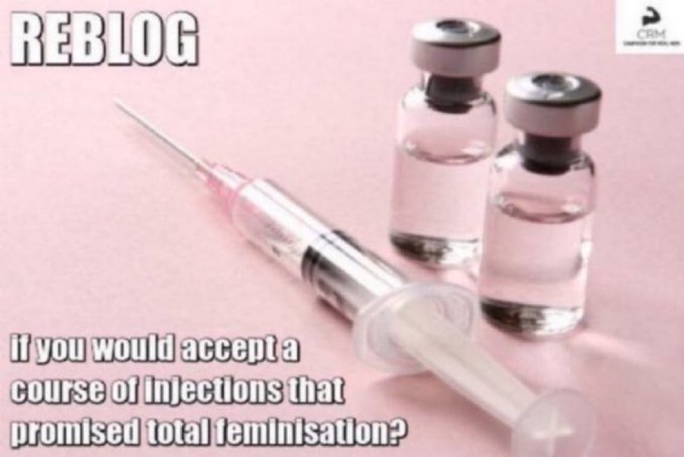 DOMINANT SCHOOL FOR SISSIES tweet media