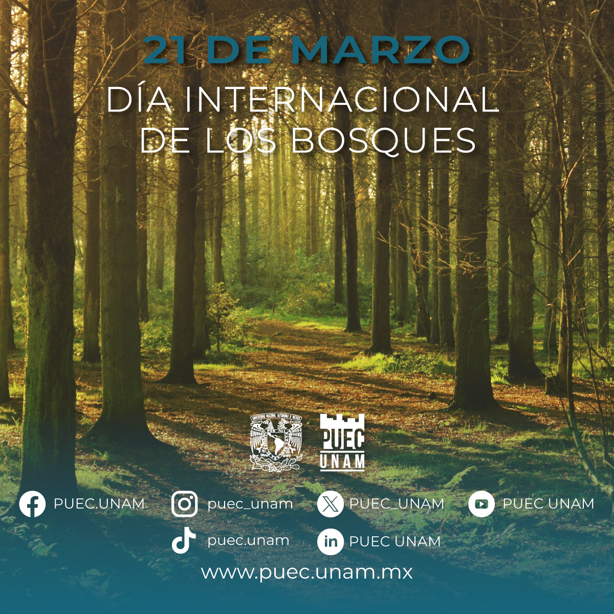 PUEC UNAM tweet media