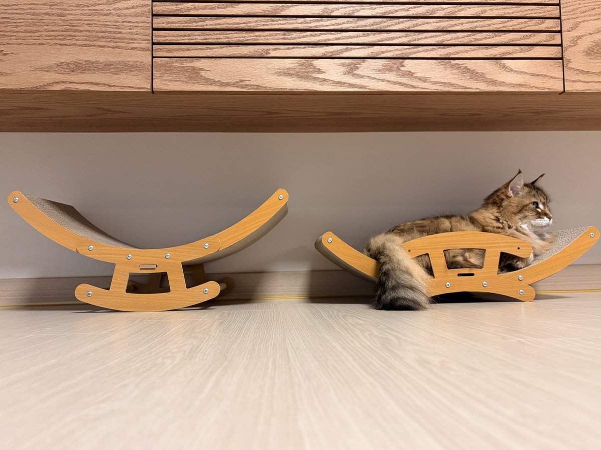 미러 💙🍋🎣 tweet media