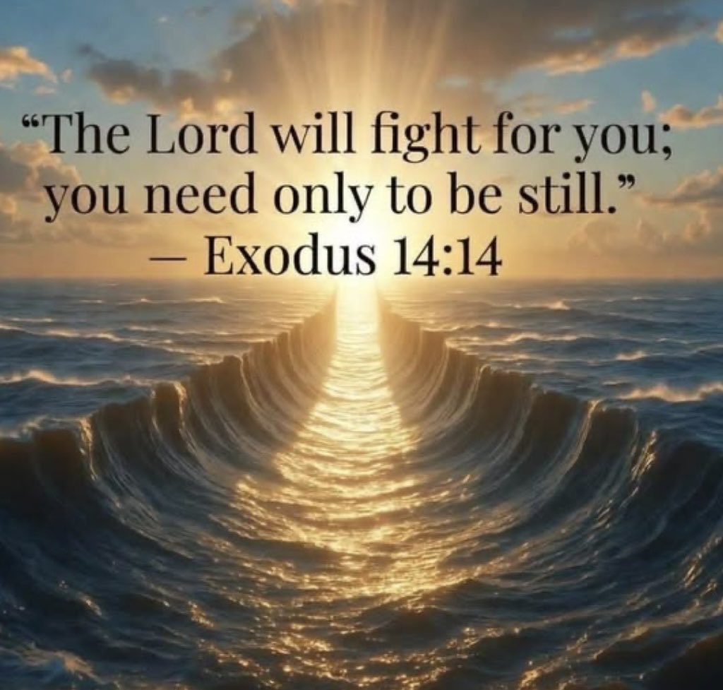 ViolettaRivis 👑 tweet media