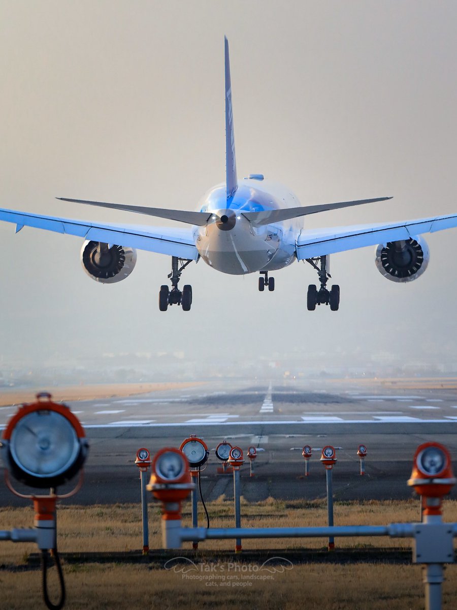 TAK@CX-30 tweet media