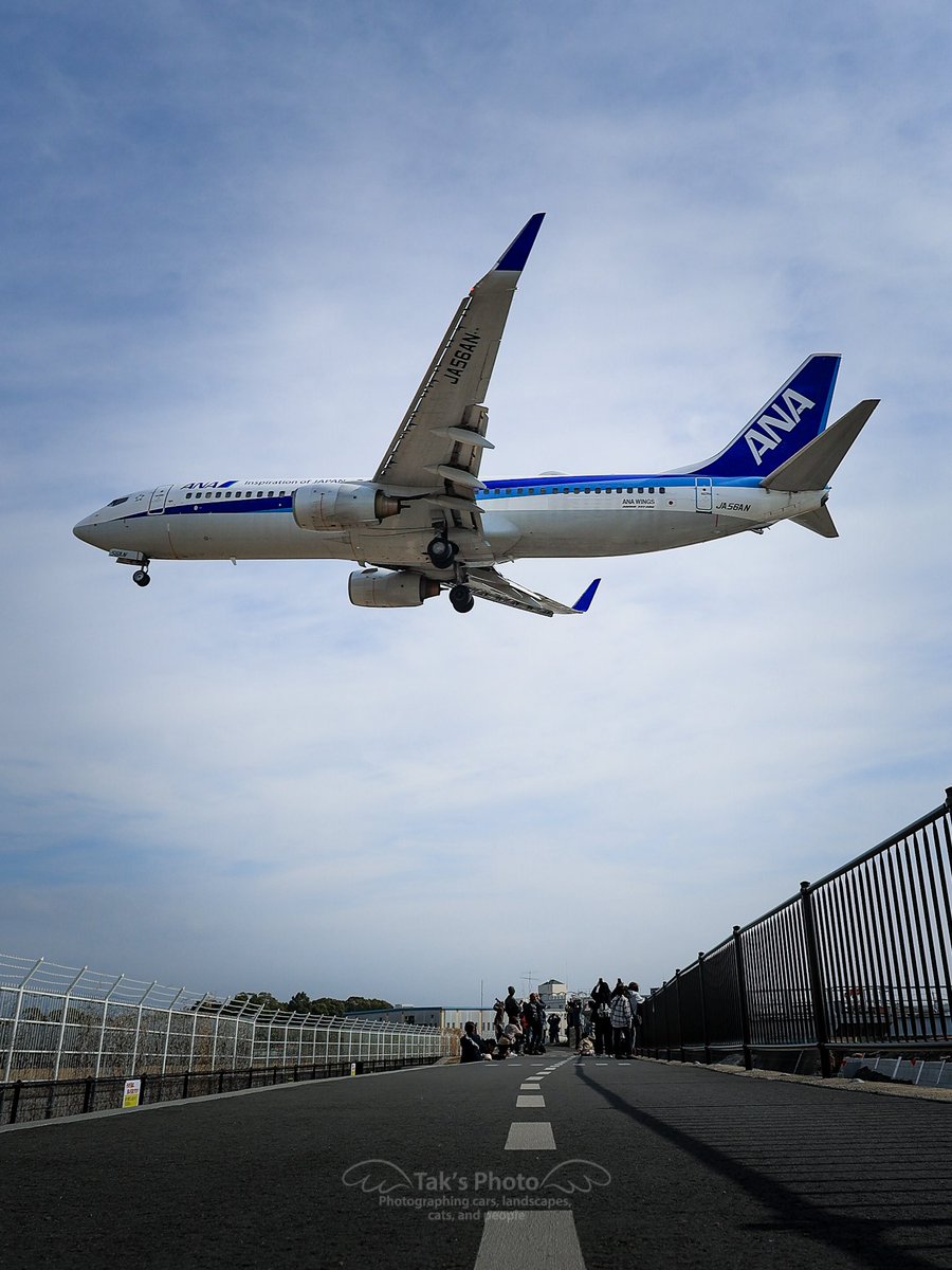 TAK@CX-30 tweet media