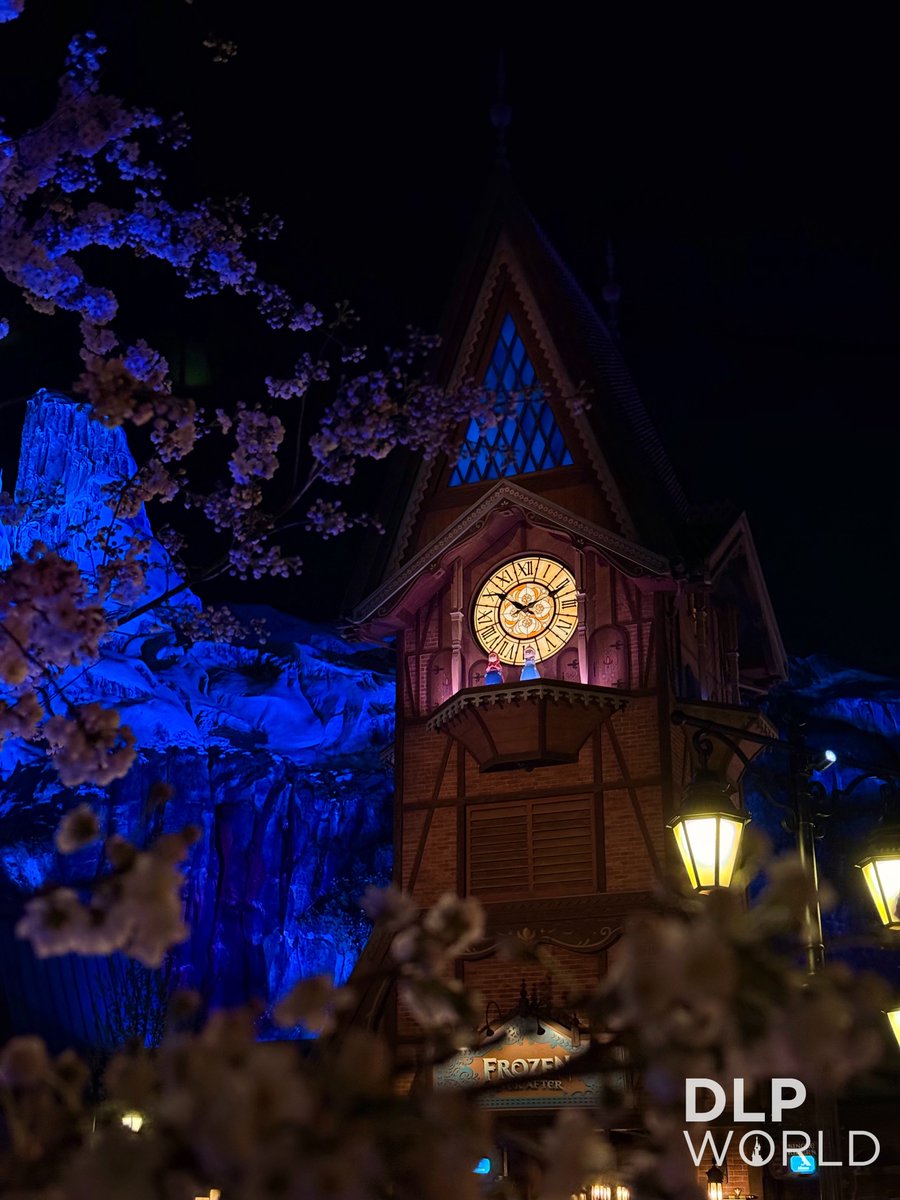 DLP World tweet media