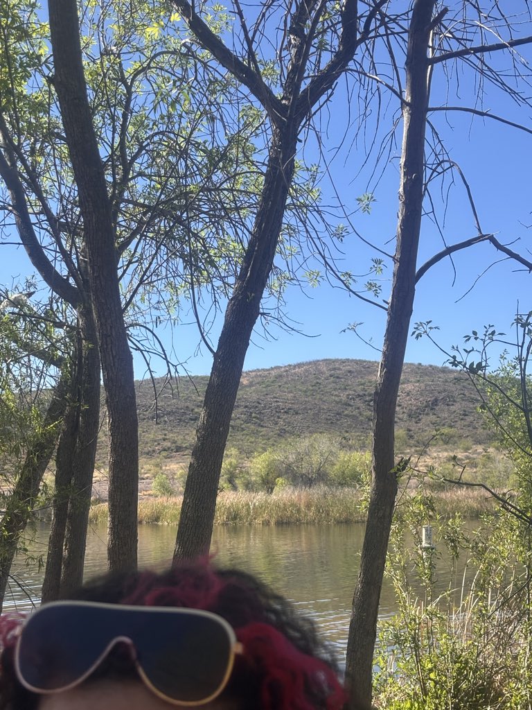 Danny🐾 tweet media