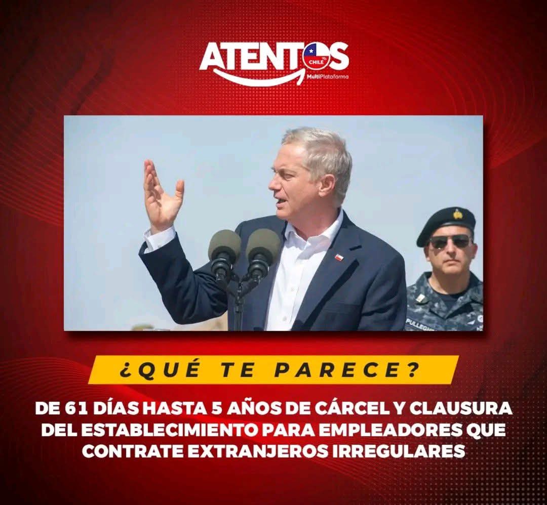 Amalia 🇨🇱🇨🇱 tweet media