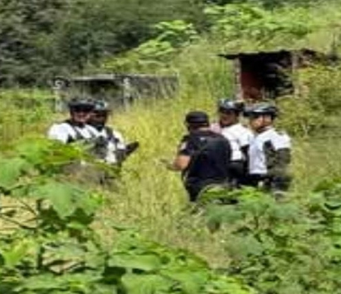 desaparecidas argentina tweet media