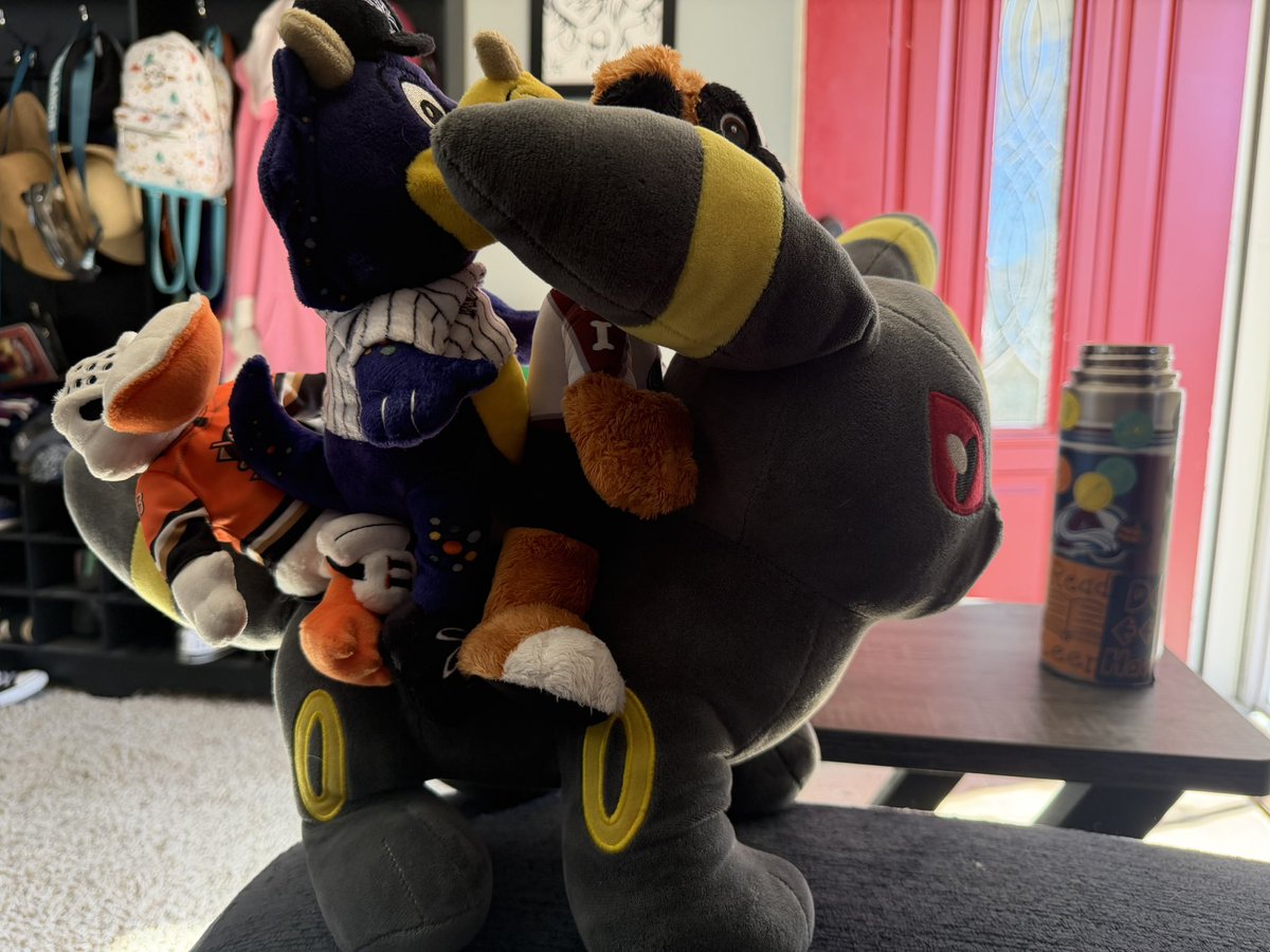 Amber Lotus 🪷 tweet media