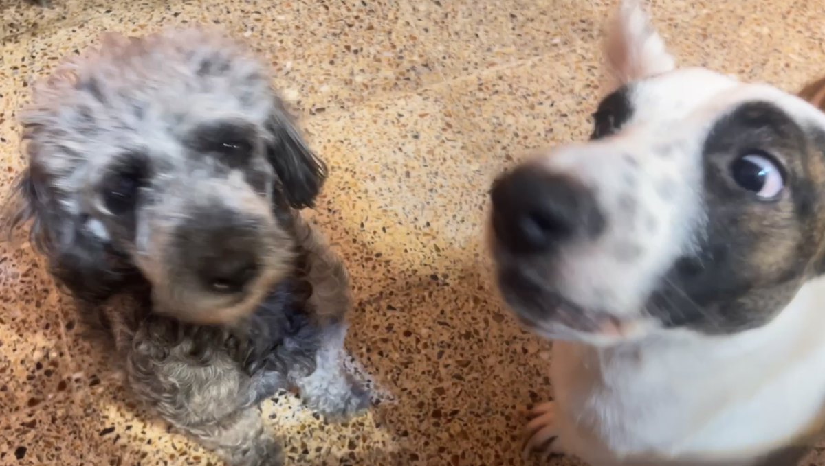 Lore 💙💛 tweet media