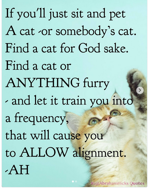 The Narcissist Box tweet media