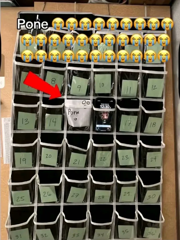 brainrot dimension tweet media