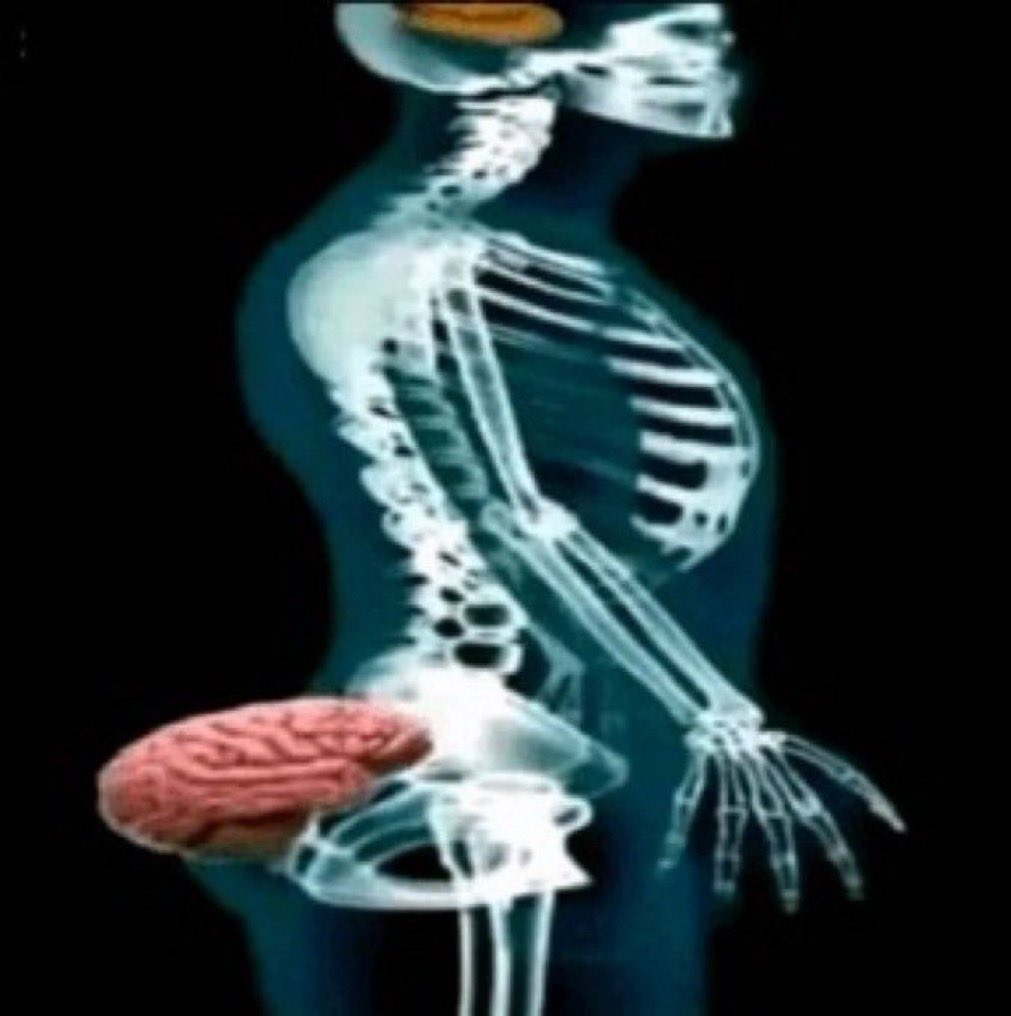 DOC ⭐️⭐️⭐️ tweet media