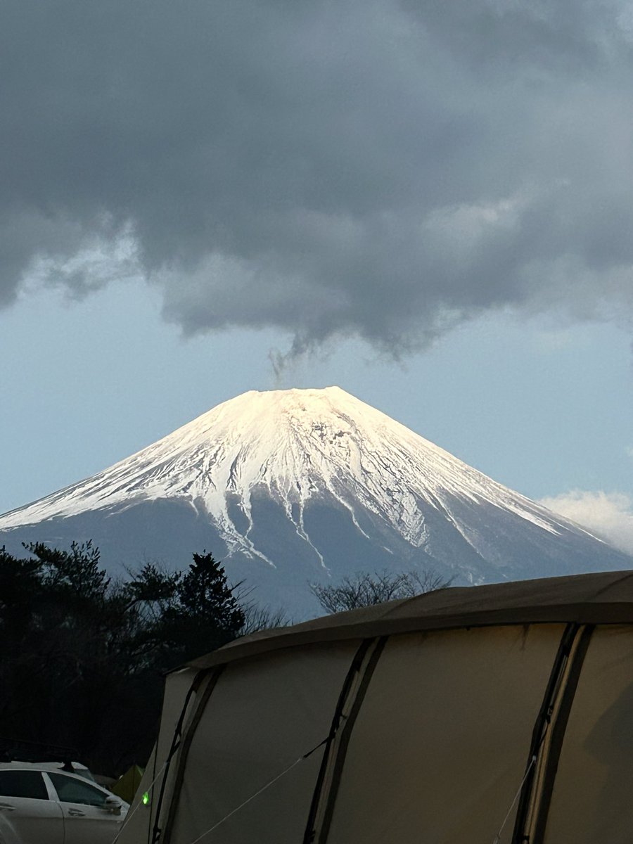 スーシ˝ー tweet media