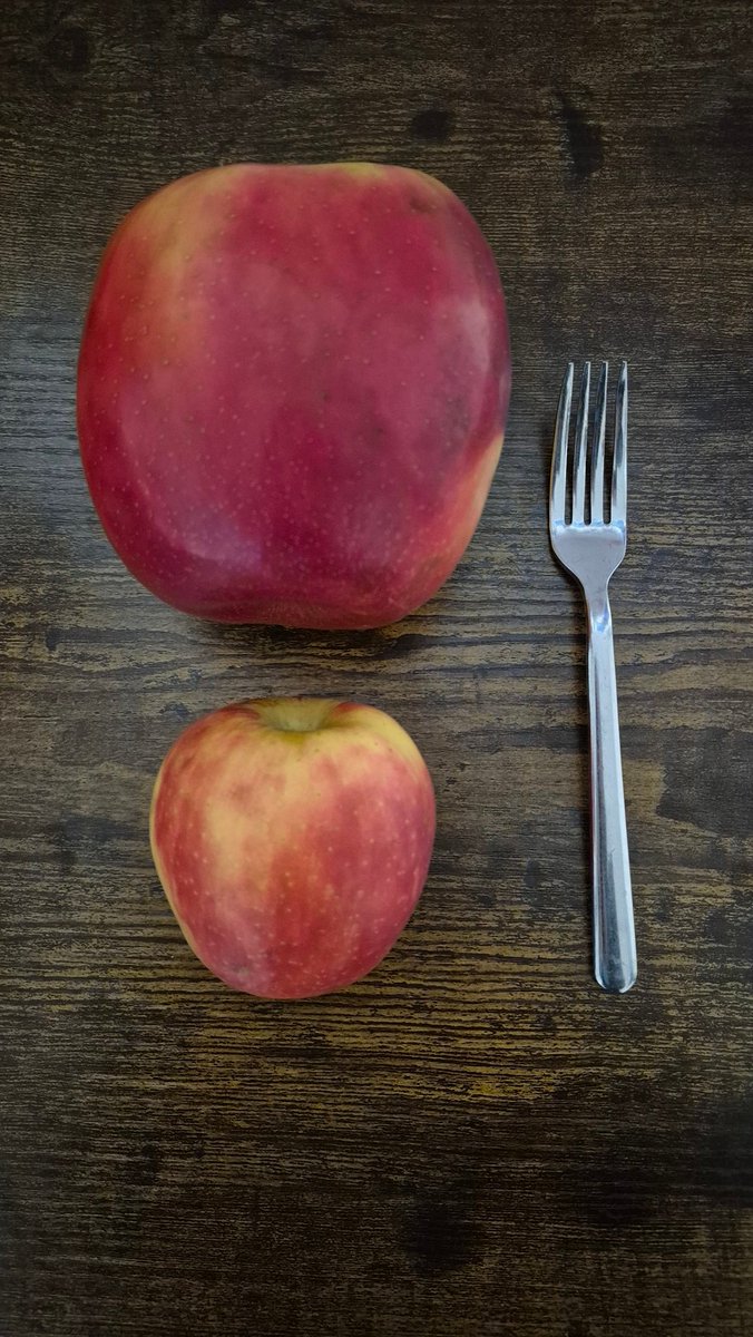 Shmuptopia tweet media