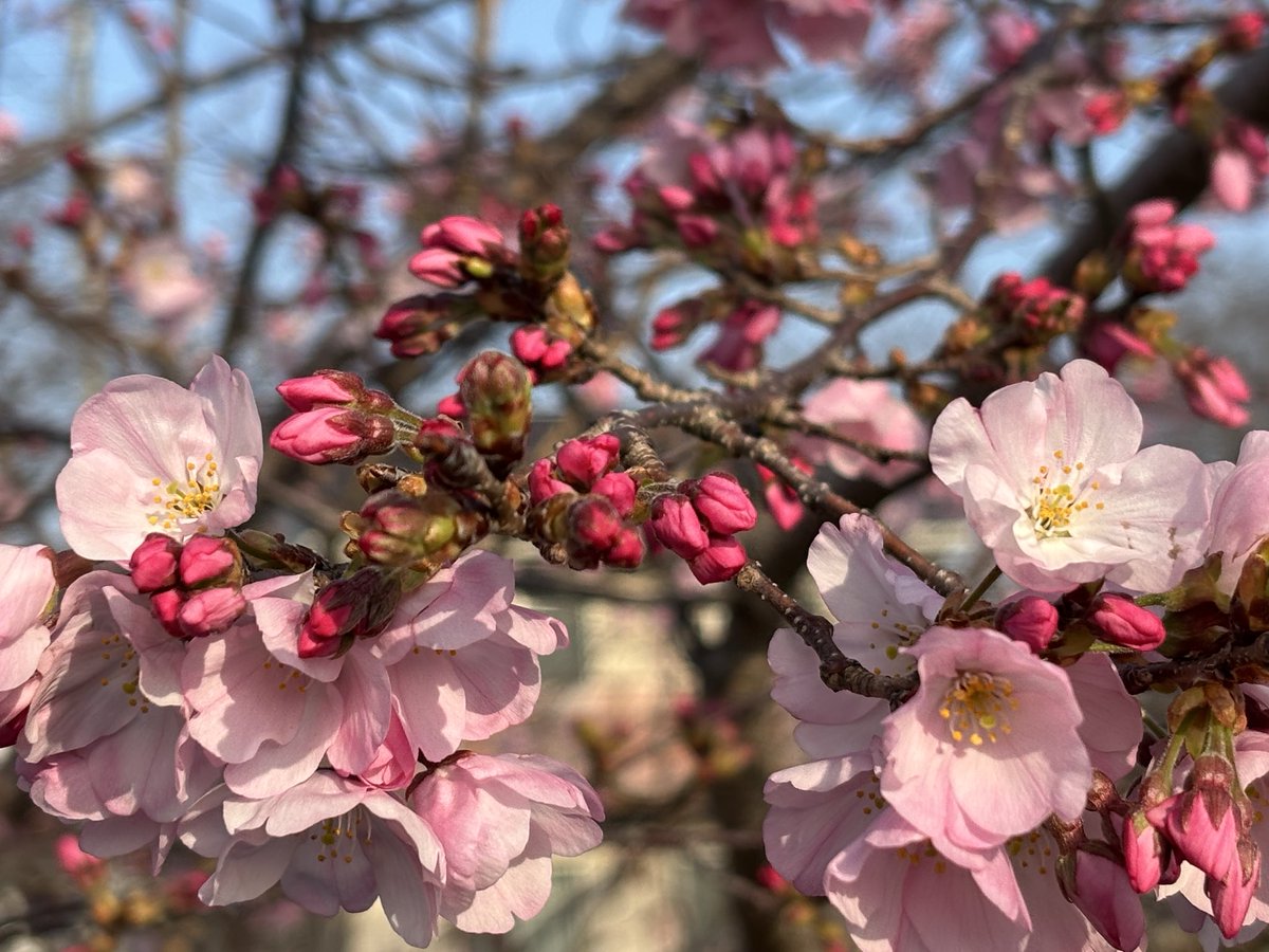 ZZy（じーじい） tweet media