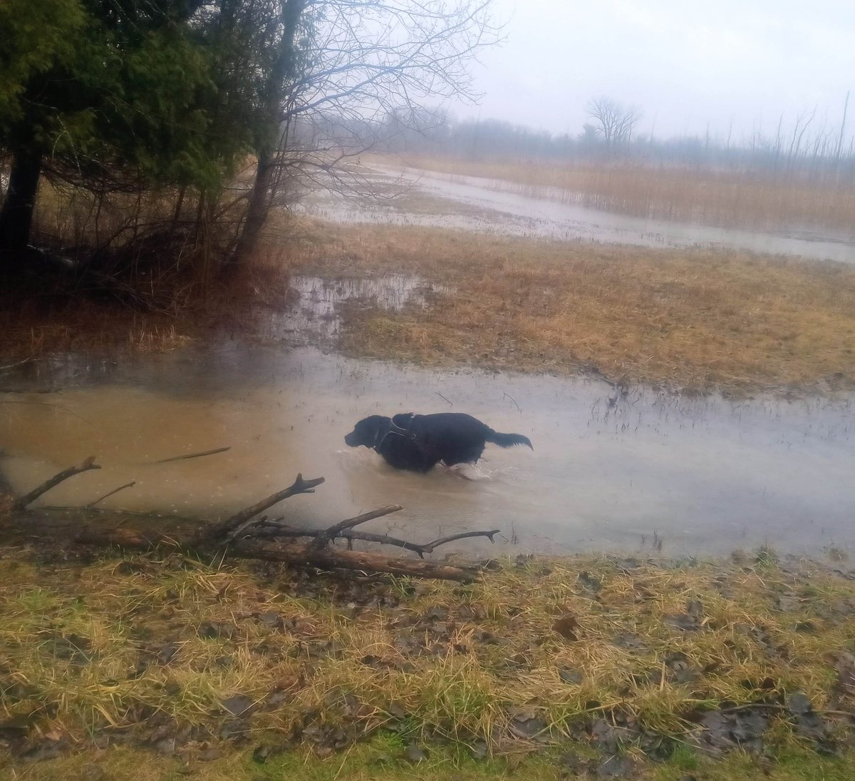 💀⚰️🪦Melody 🎶🖤🎶 tweet media