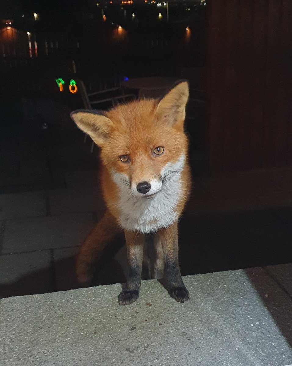 Siobhean 🖤 tweet media