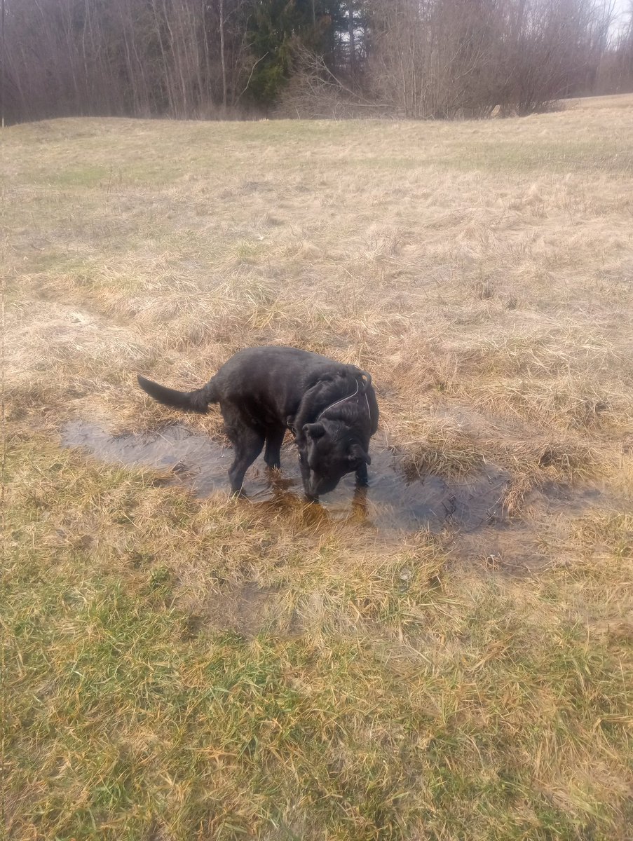 💀⚰️🪦Melody 🎶🖤🎶 tweet media