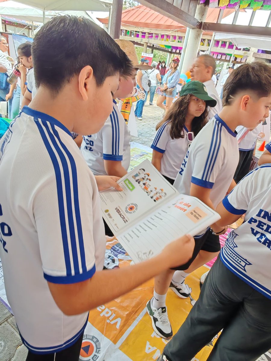 Secretaría de Protección Civil de Veracruz tweet media