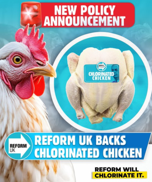 Nick Walsh Studios tweet media