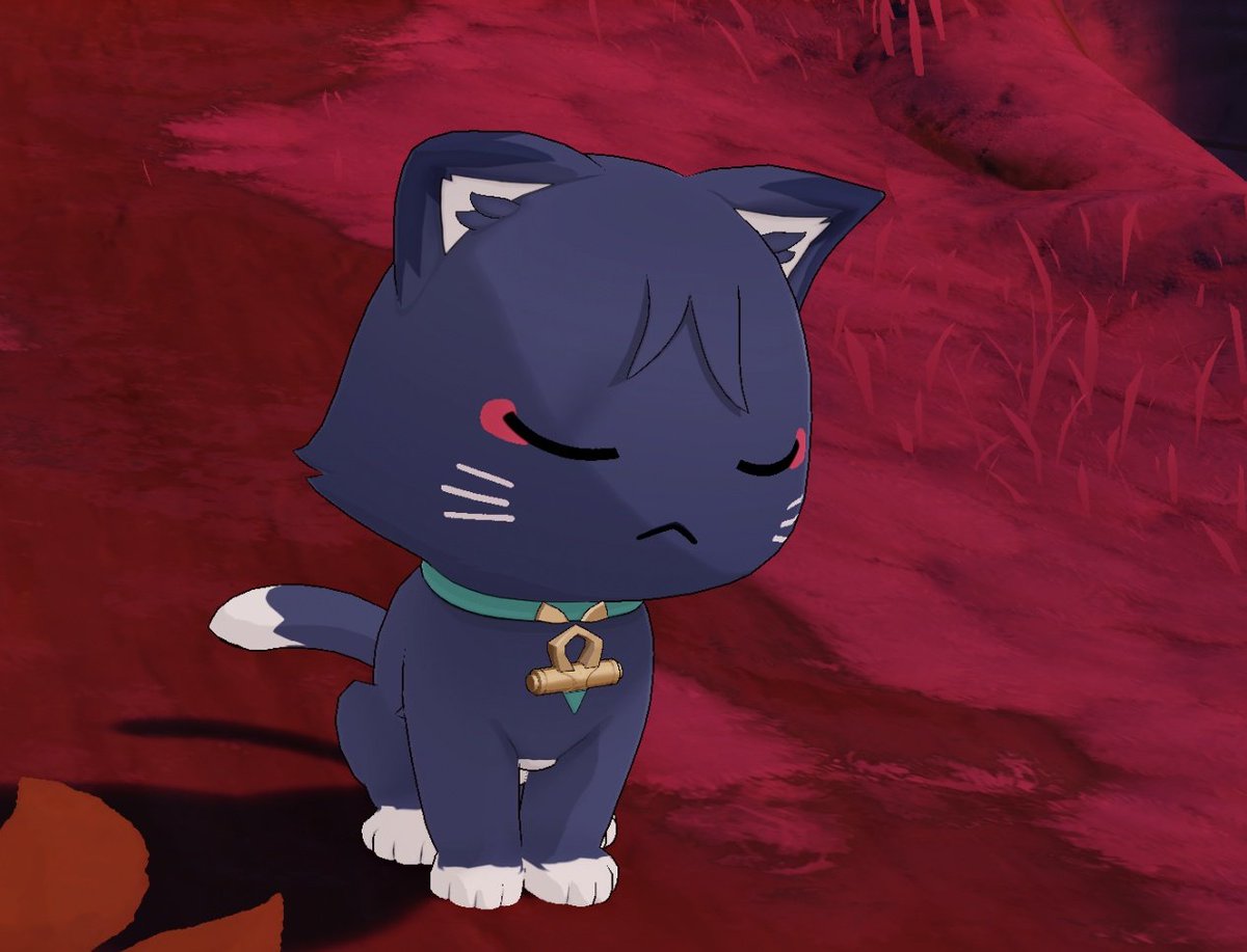 Wanderer (Hat Guy...) tweet media