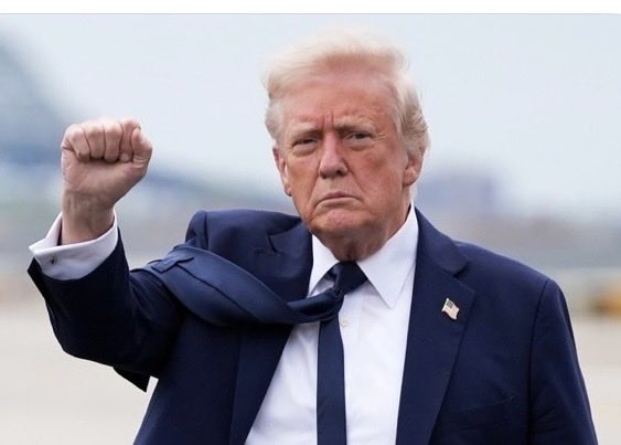 Suzie rizzio tweet media