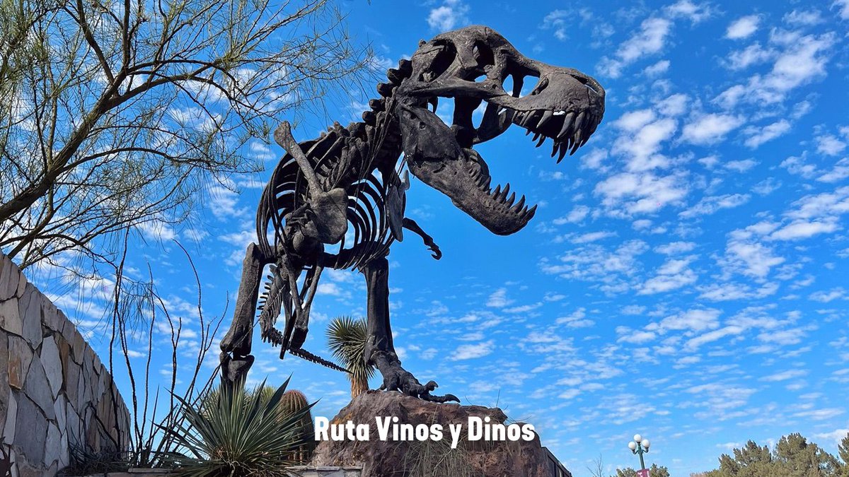 Visit México tweet media