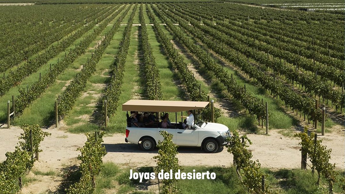 Visit México tweet media