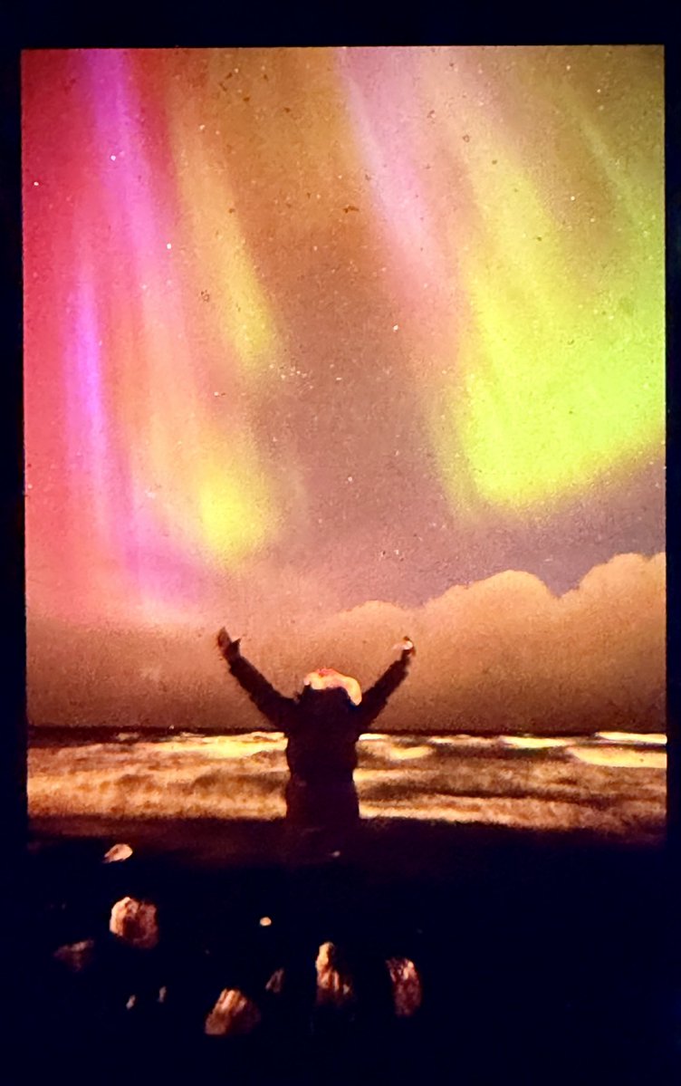 sianoshea.photography tweet media