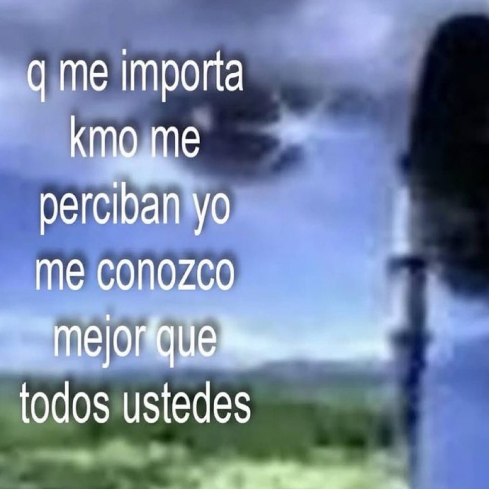 memes feos yo qué sé tweet media