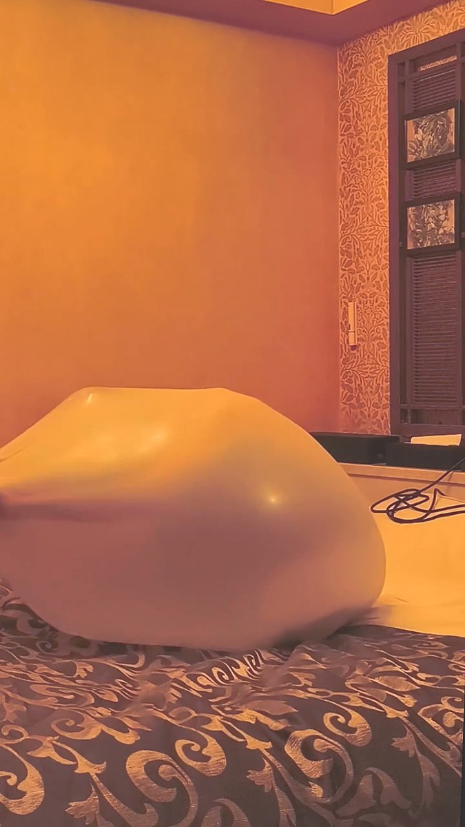 Airhead Guy tweet media