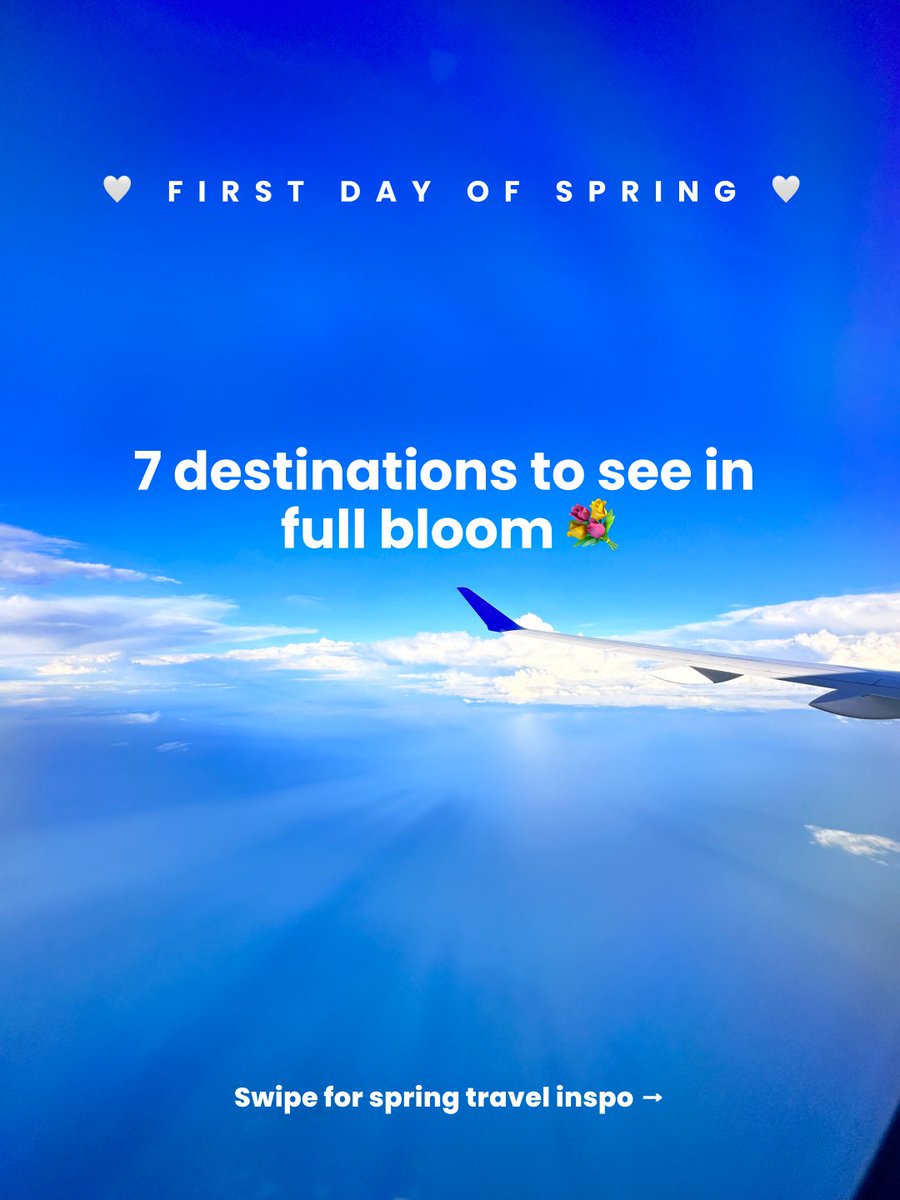 Breeze Airways tweet media