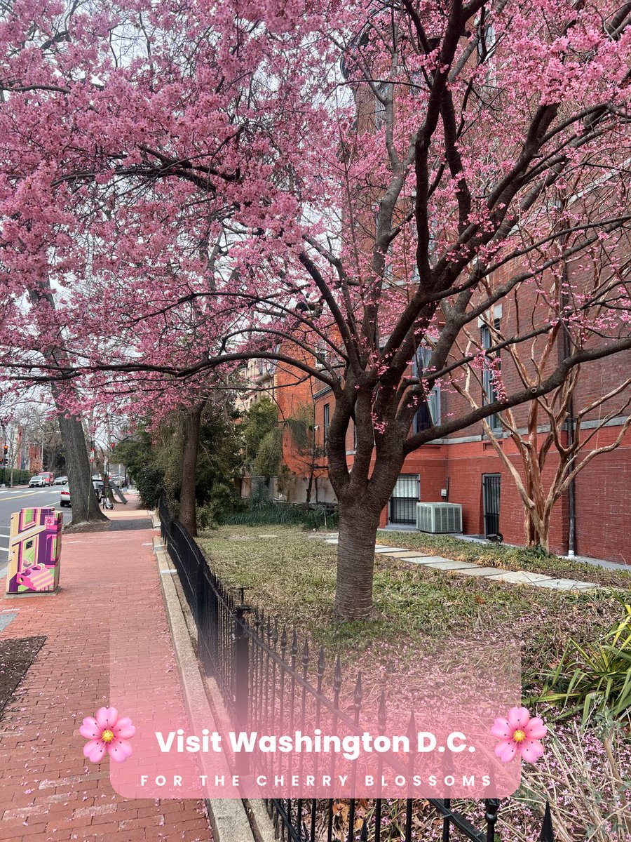 Breeze Airways tweet media