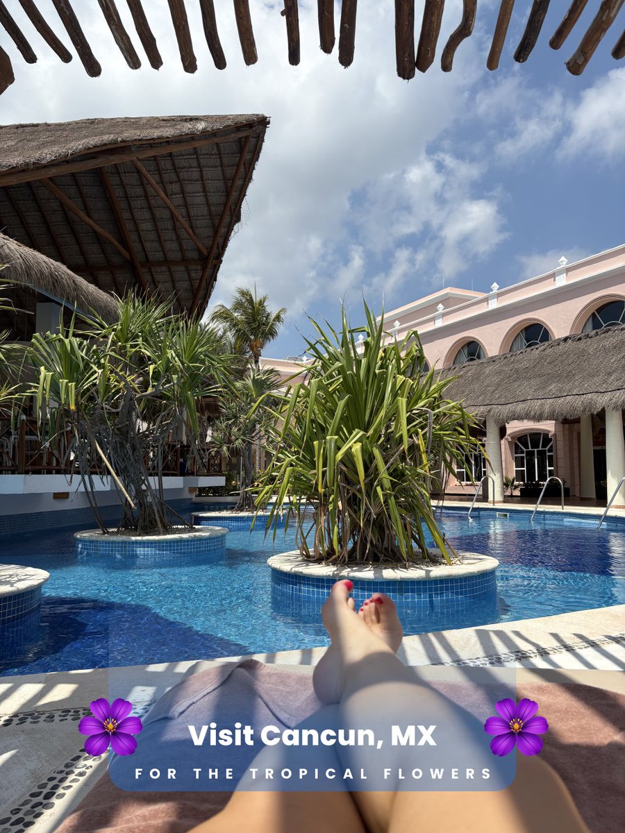 Breeze Airways tweet media