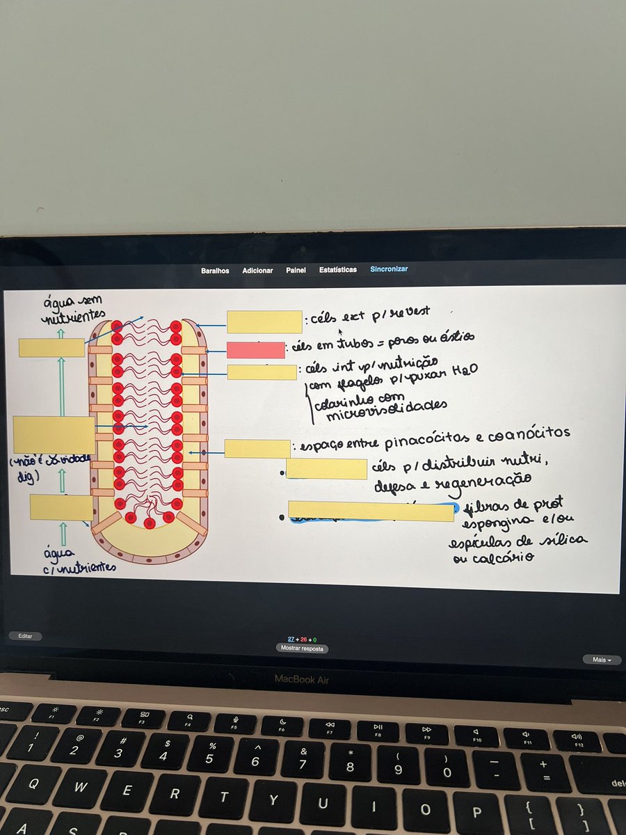 sarah 🩺 cupom ferretto SARAH tweet media