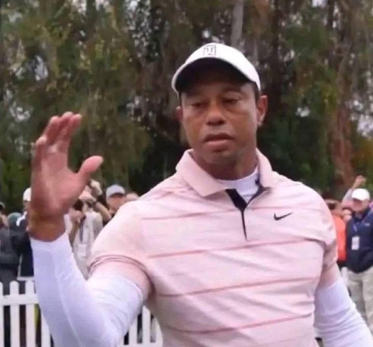 flytroop tweet media