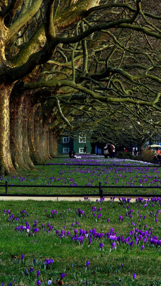 Tomasz Michalak™ tweet media