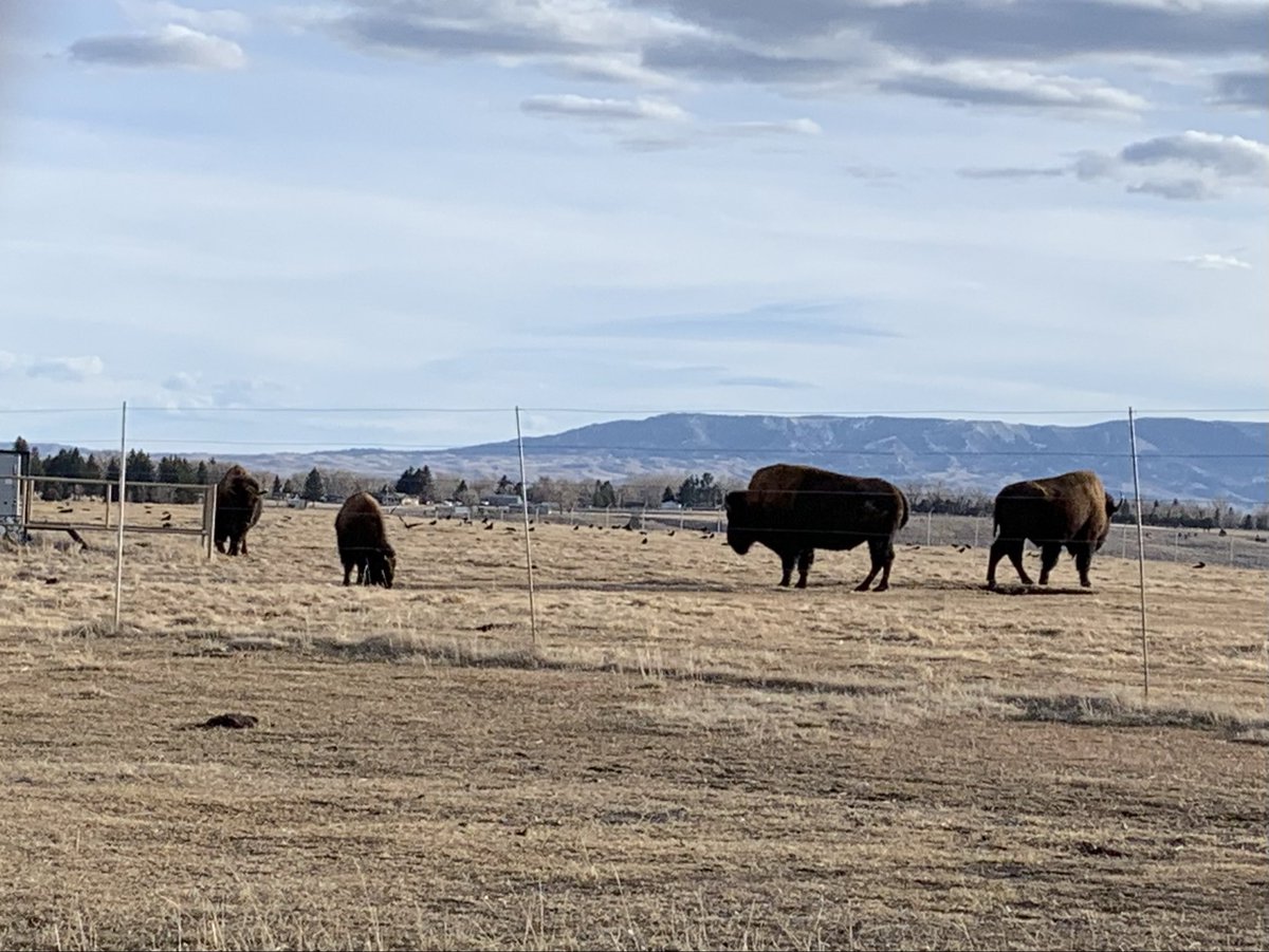 Kate Johnson tweet media