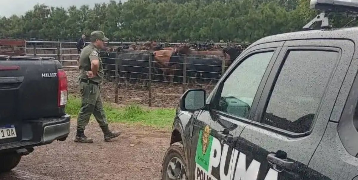 El Litoral tweet media