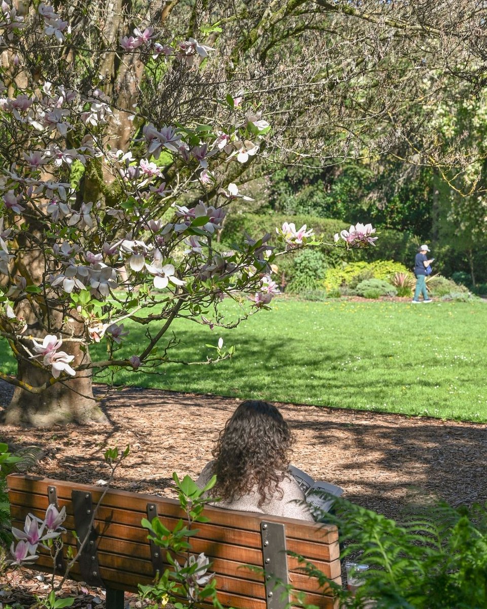 San Francisco Botanical Garden tweet media