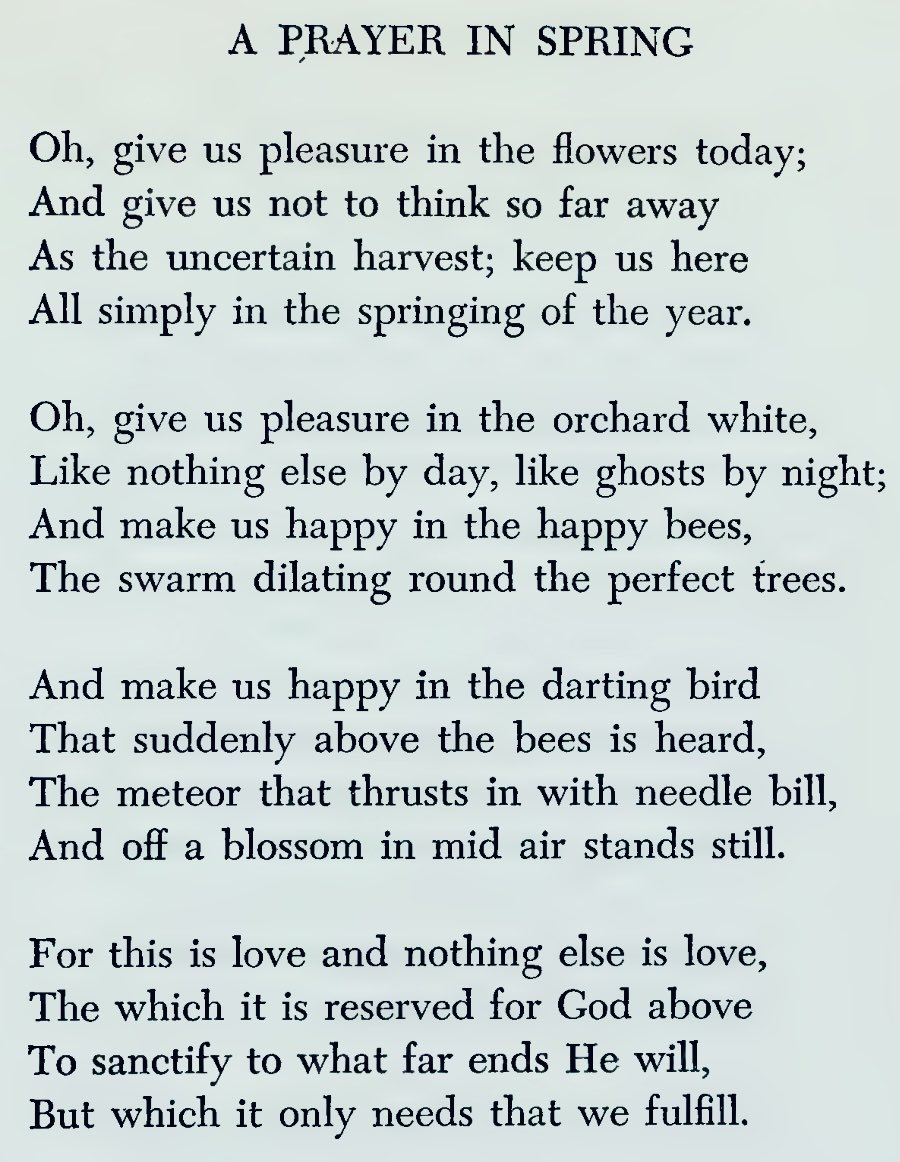 Democritus Sr tweet media