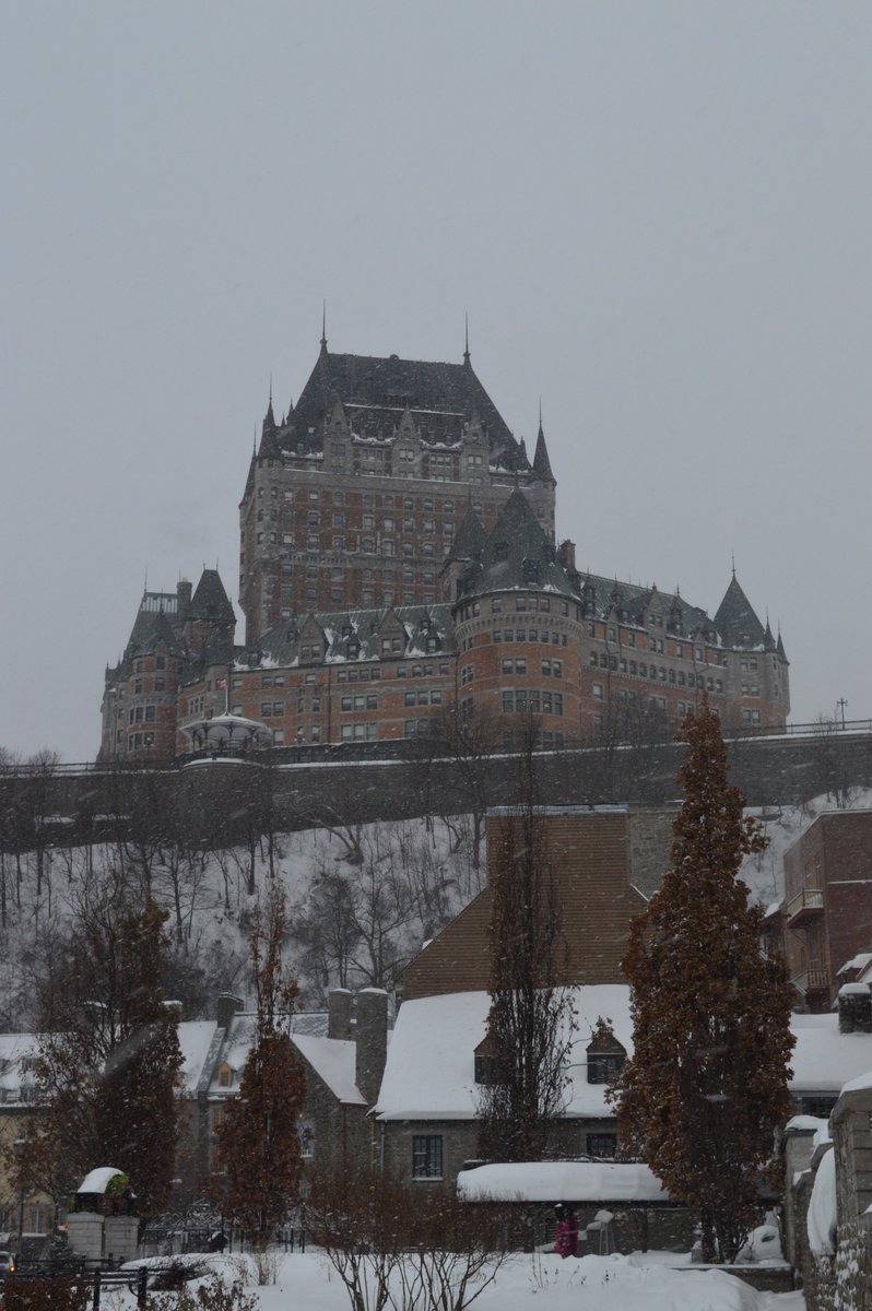 promathia tweet media