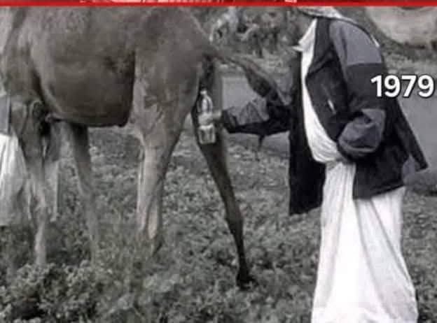 Mr Chanson tweet media