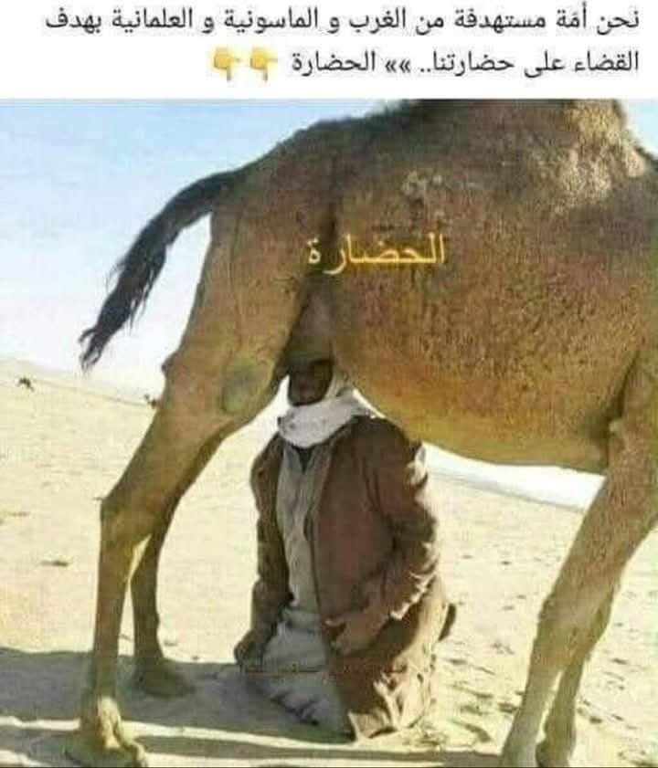 Mr Chanson tweet media