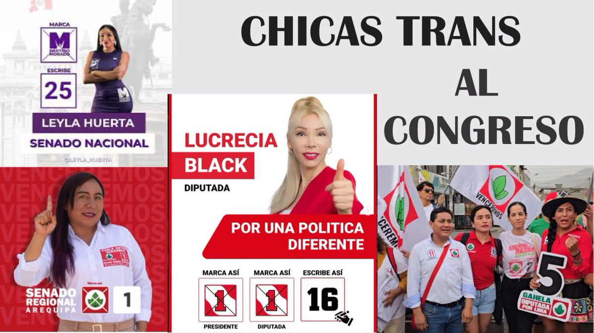 Peru Trans tweet media