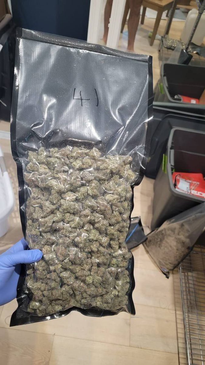 ELMER'S BUDD tweet media