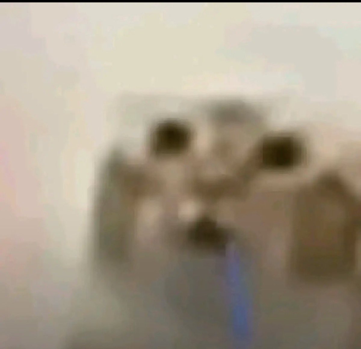 homo 🔞 tweet media