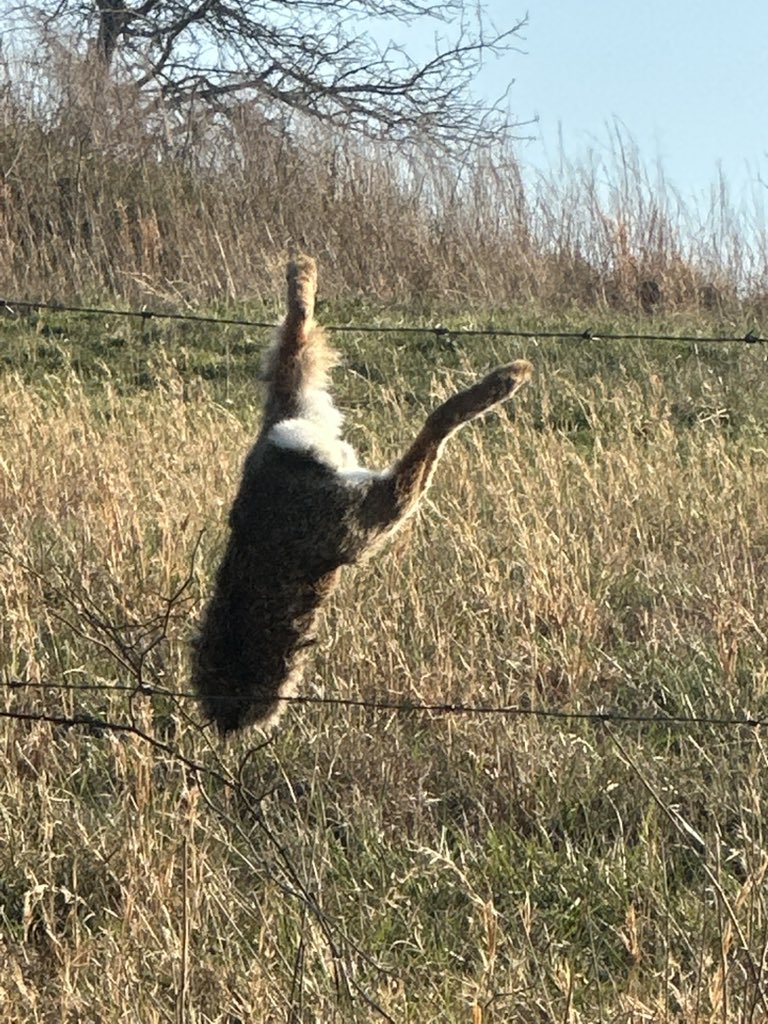 Independence Ark Farm tweet media