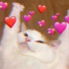 Destiny🪐✨️ 🔜Universal/WDW🎢 🔜CFz🐾 tweet media