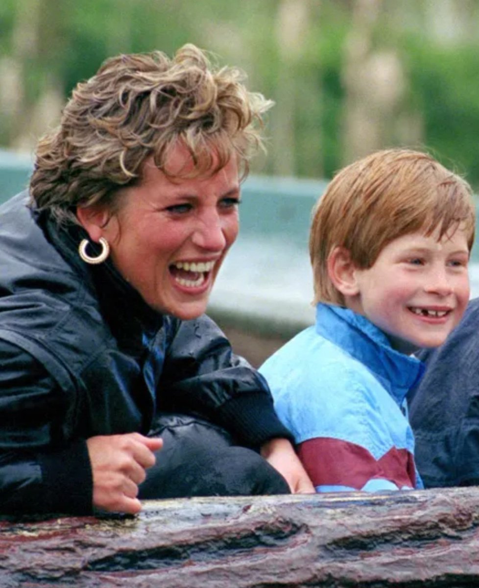 K D 💙🌼🌻🪷🌹 tweet media