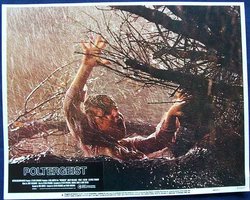 Miss Rabbit's Resume tweet media